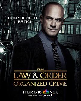 法律与秩序：组织犯罪第四季
